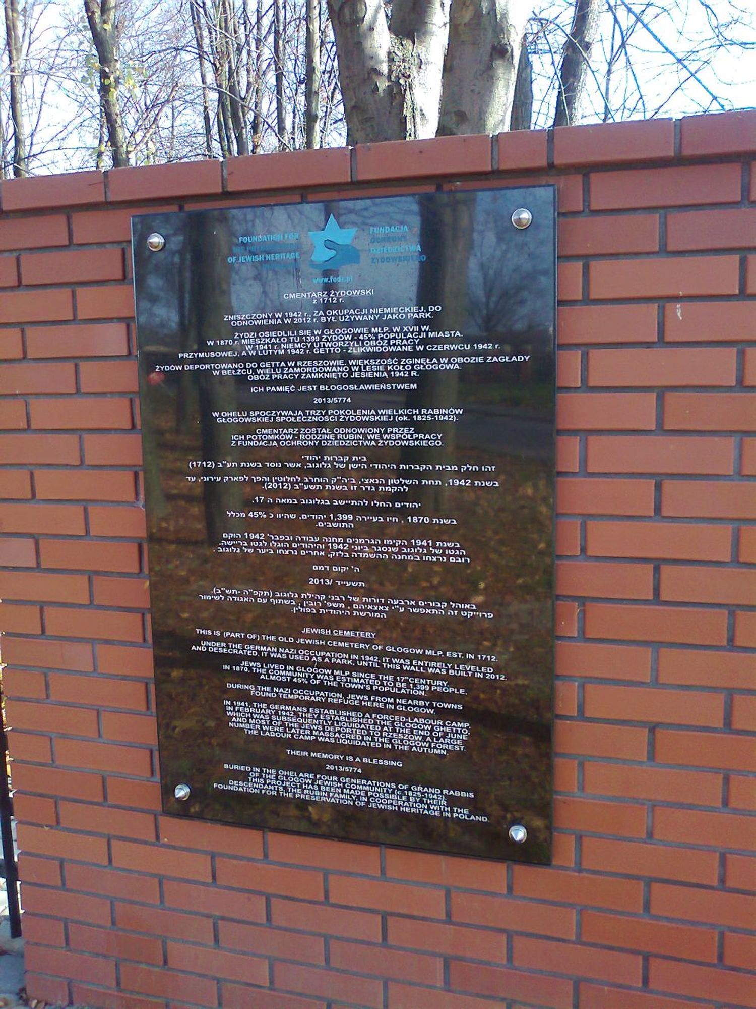 Stary cmentarz żydowski w Głogowie Małopolskim